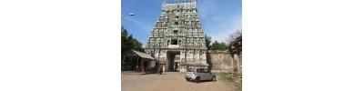 219. திருத்தினைநகர்
